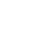 Icon WordPress White