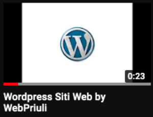 Video Marketing Wordpress WebPriuli