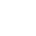 SEO Icon White